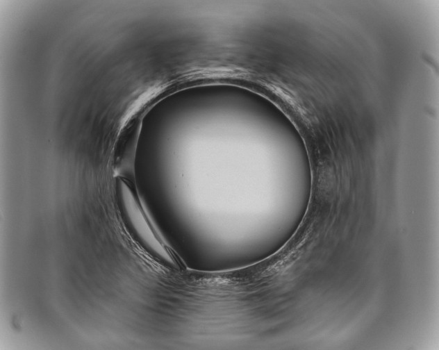 X0000098031317200804111313