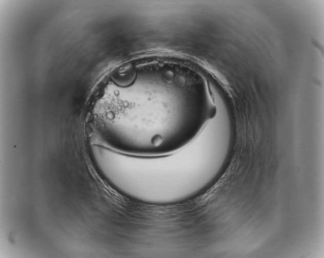 X0000098031318200804111313