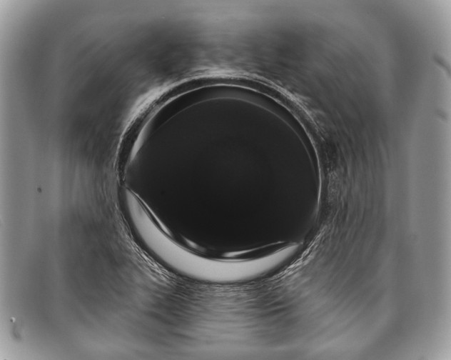 X0000098031319200804111313