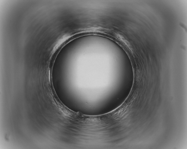 X0000098031320200804111313