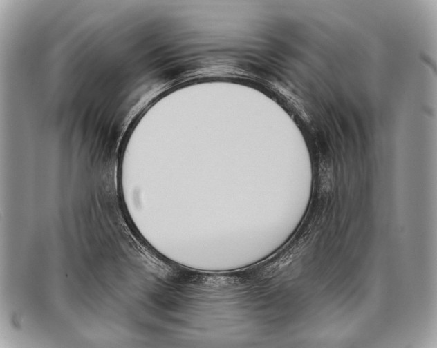 X0000098031322200804111313