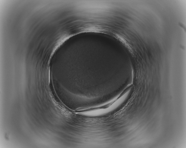 X0000098031323200804111313