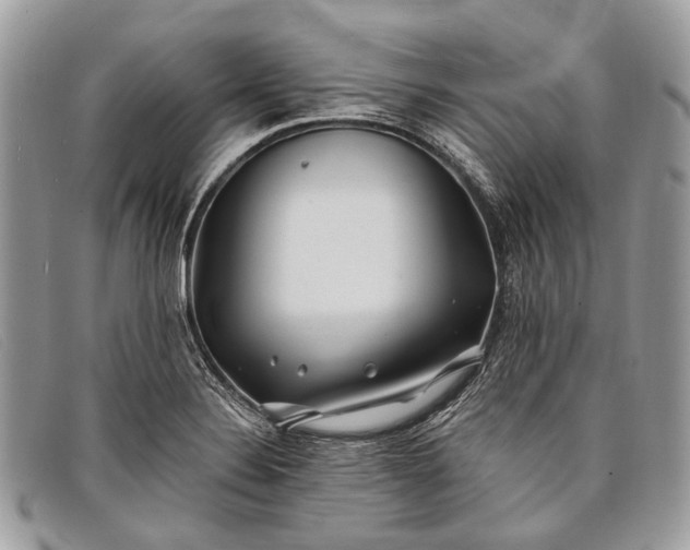 X0000098031324200804111313