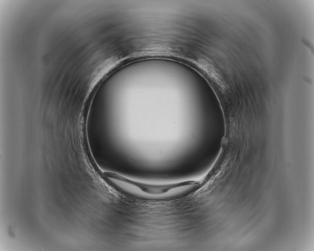 X0000098031325200804111313