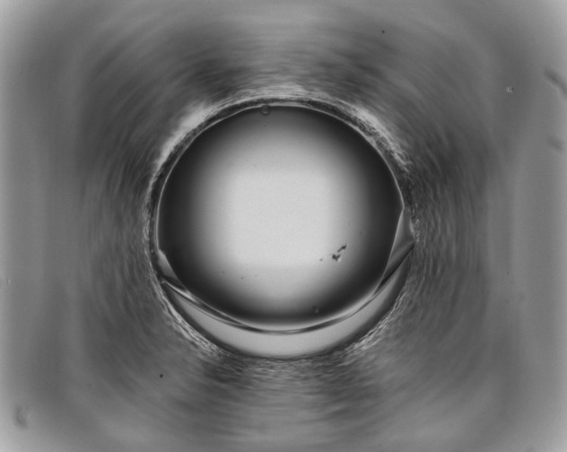 X0000098031326200804111313