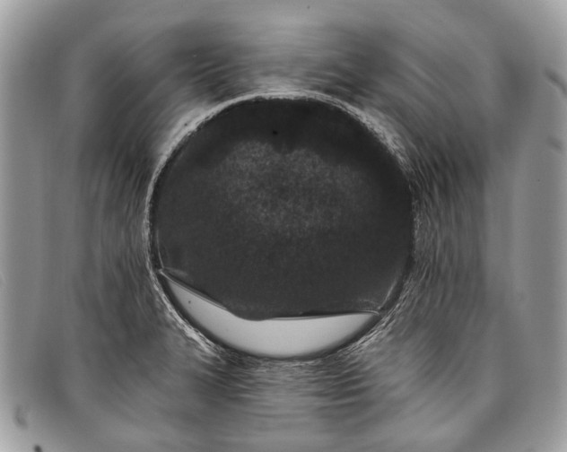 X0000098031327200804111313