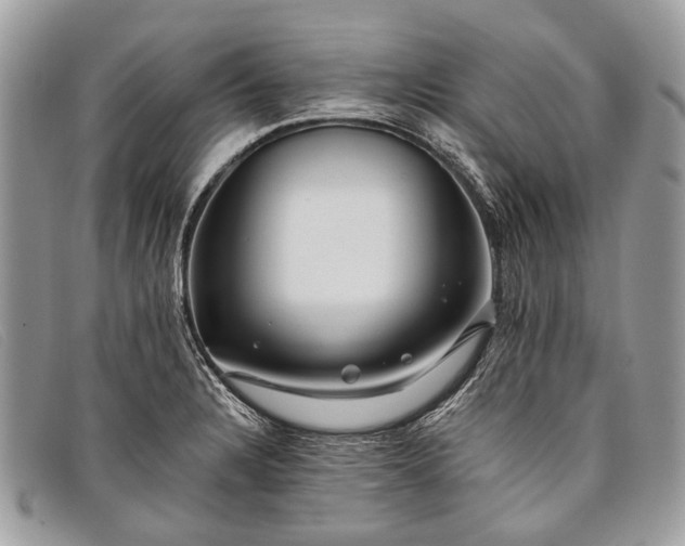 X0000098031328200804111313