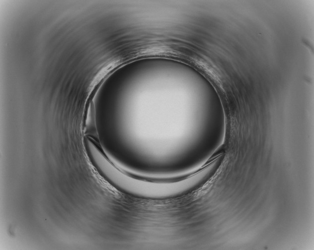 X0000098031330200804111313