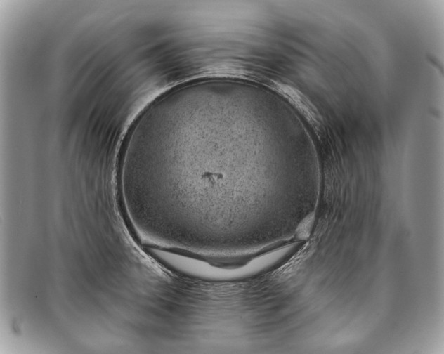 X0000098031331200804111313