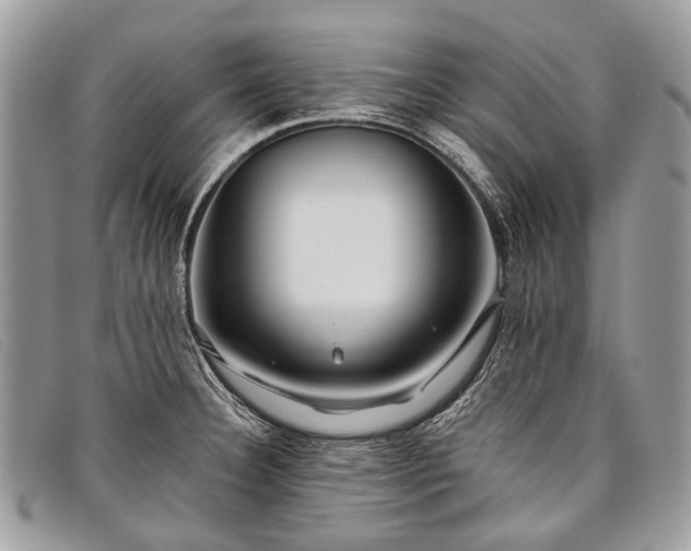 X0000098031332200804111313