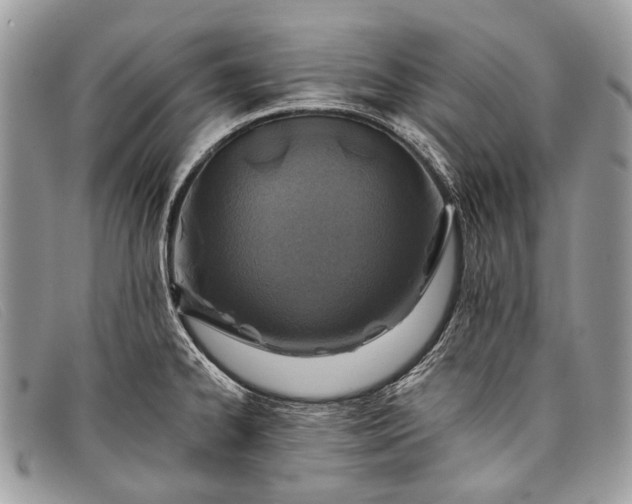 X0000098031334200804111313