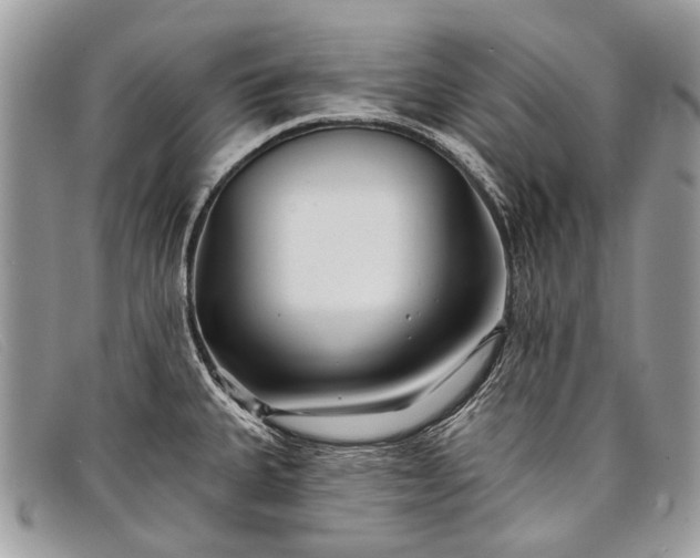 X0000098031335200804111313