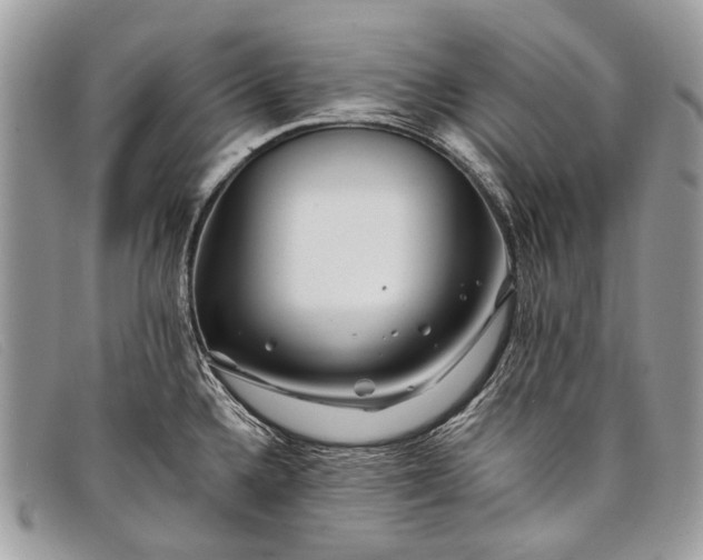 X0000098031336200804111313