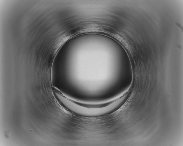 X0000098031337200804111313