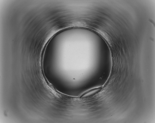 X0000098031339200804111313