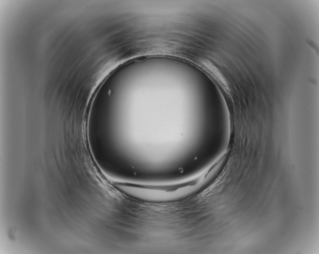 X0000098031340200804111313