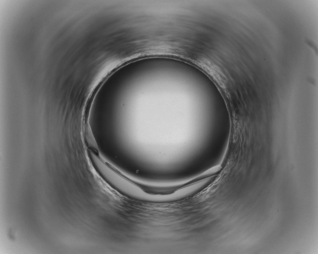 X0000098031342200804111313