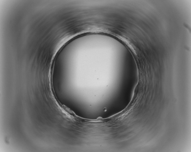 X0000098031343200804111313