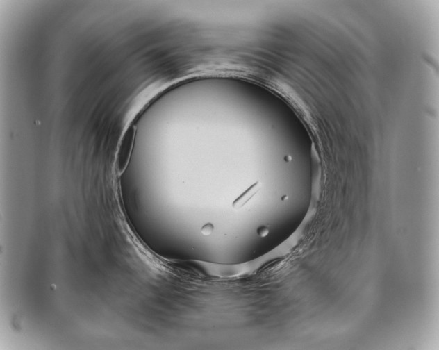 X0000098031344200804111313