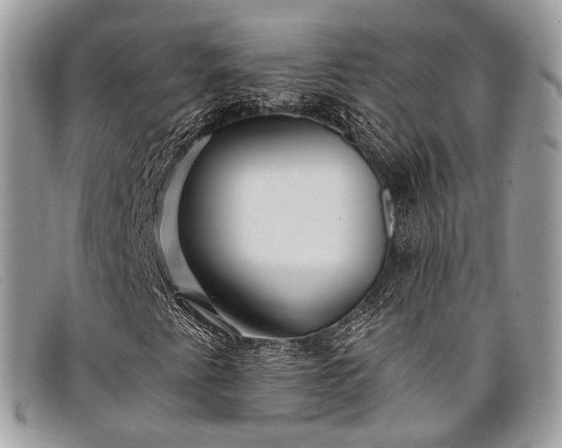 X0000098031345200804111313