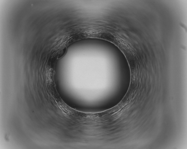 X0000098031346200804111313