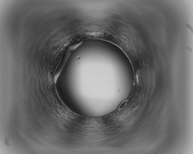 X0000098031347200804111313