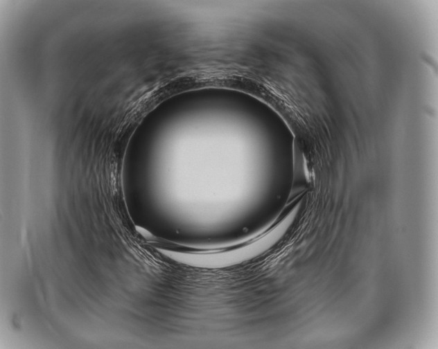 X0000098031348200804111313