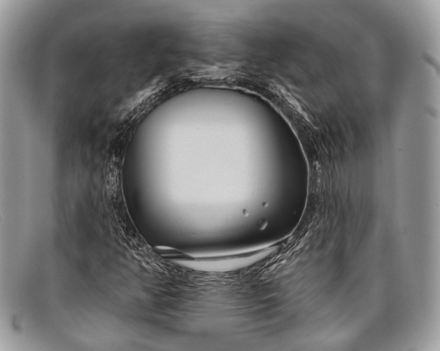 X0000098031350200804111312