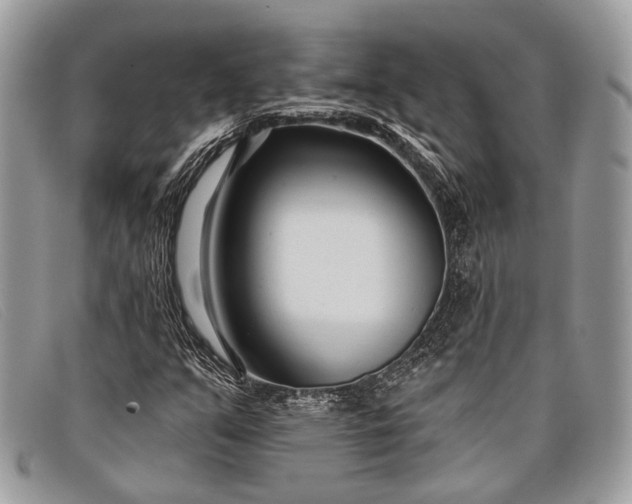 X0000098031351200804111312