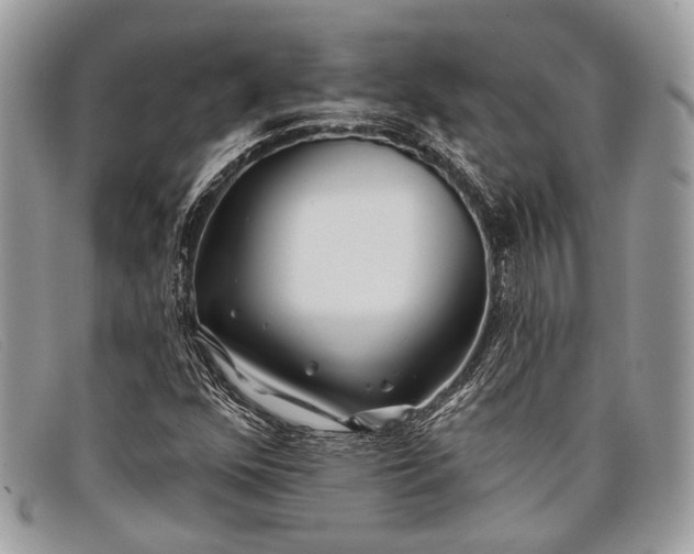 X0000098031352200804111312