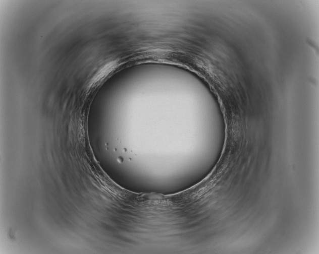 X0000098031354200804111312