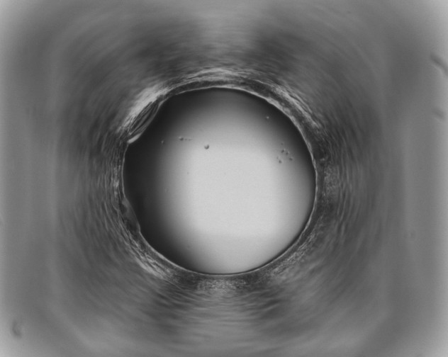 X0000098031355200804111312