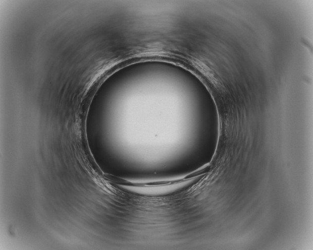 X0000098031356200804111312