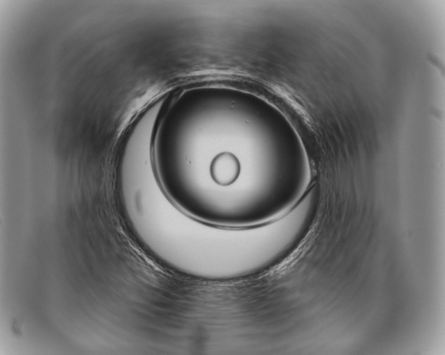 X0000098031357200804111312