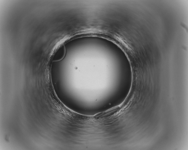 X0000098031358200804111312