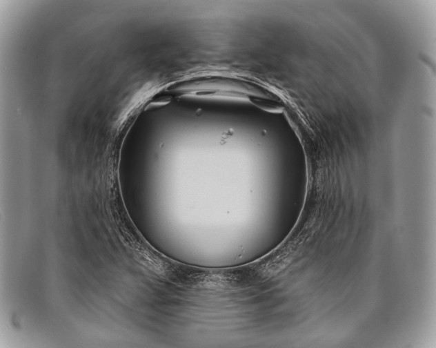 X0000098031359200804111312