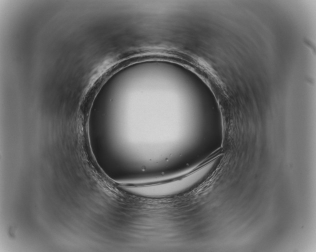 X0000098031360200804111312