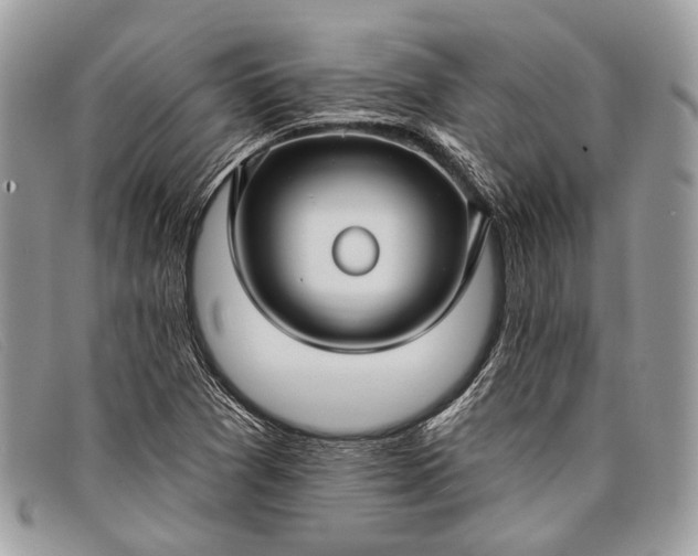 X0000098031361200804111312