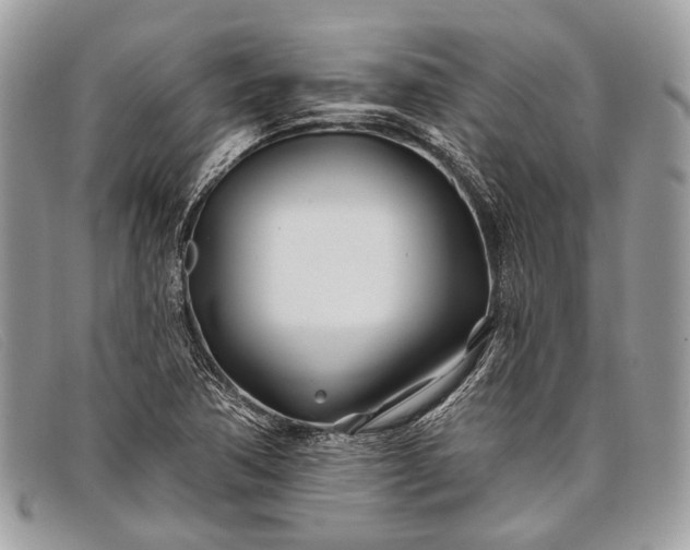 X0000098031362200804111312