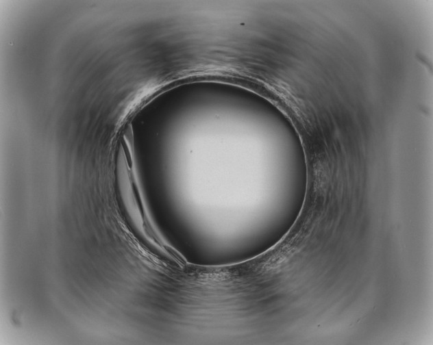 X0000098031363200804111312