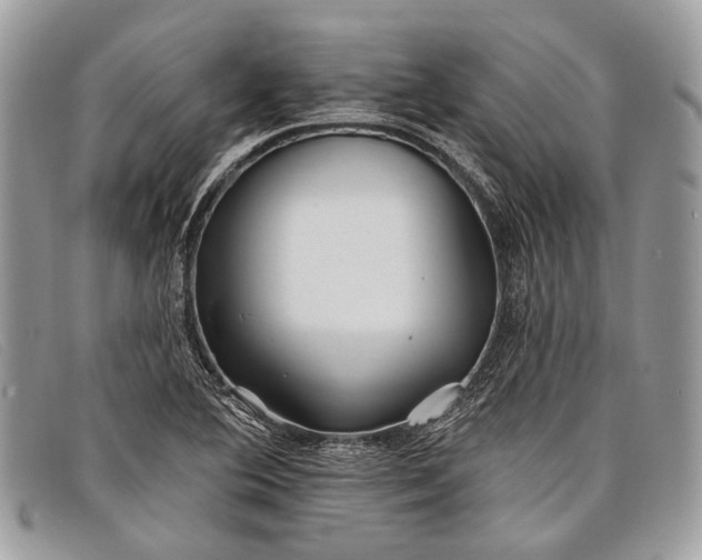 X0000098031364200804111312