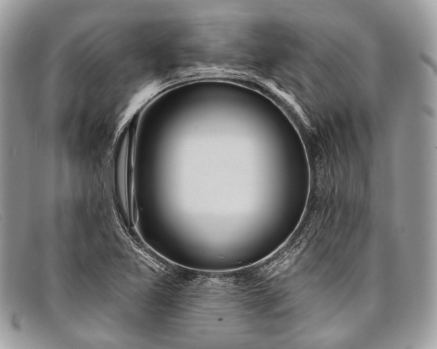 X0000098031365200804111312