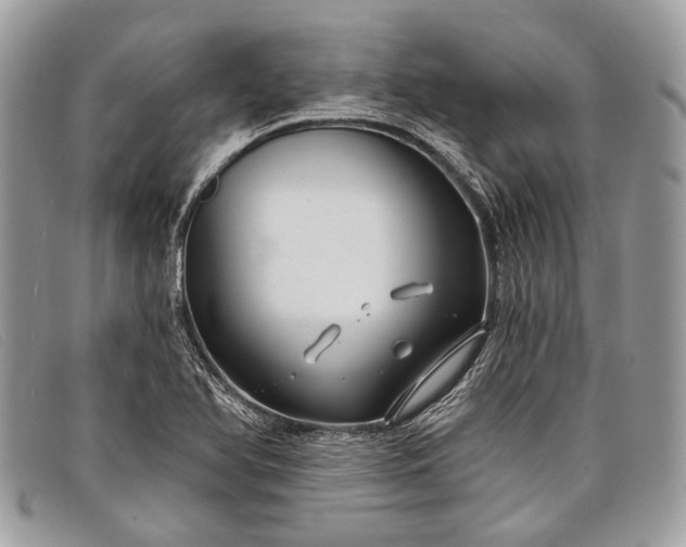 X0000098031366200804111312