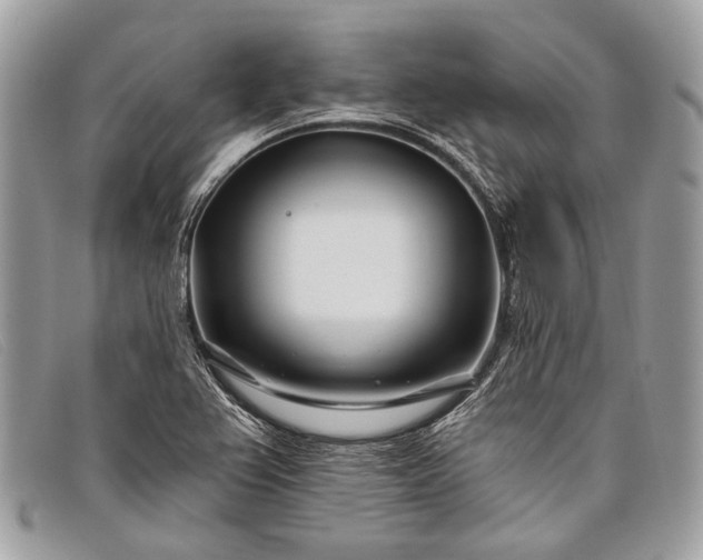 X0000098031367200804111312