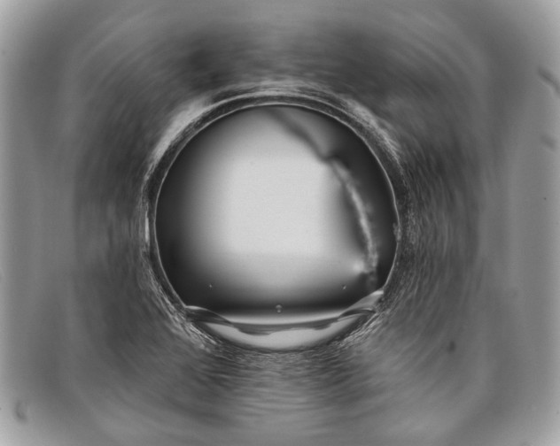 X0000098031368200804111312