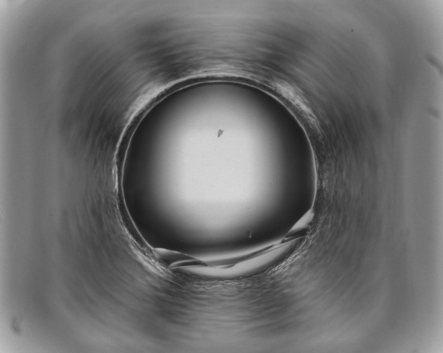 X0000098031372200804111312