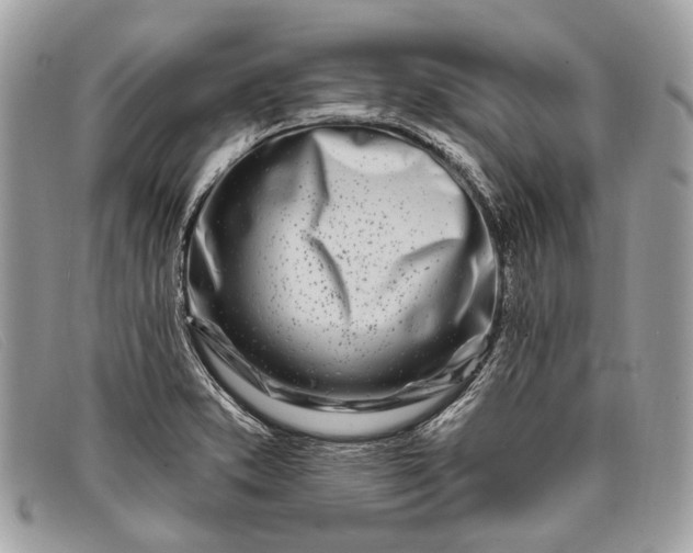 X0000098031373200804111312