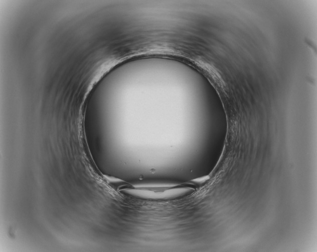 X0000098031374200804111312