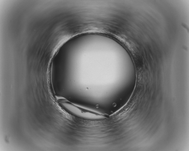 X0000098031375200804111312