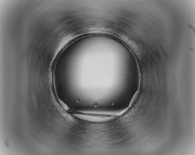 X0000098031376200804111312